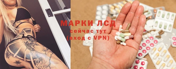ПСИЛОЦИБИНОВЫЕ ГРИБЫ Баксан