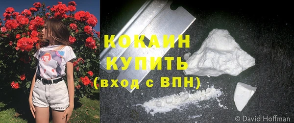 ПСИЛОЦИБИНОВЫЕ ГРИБЫ Баксан