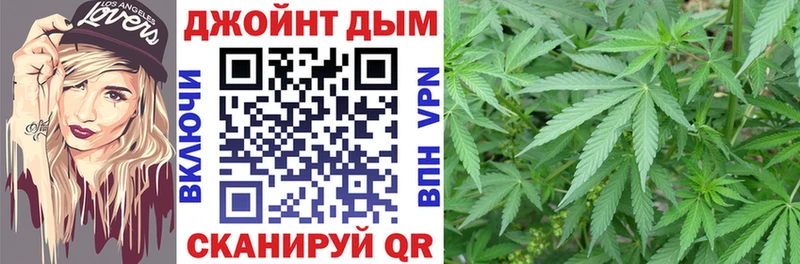 Канабис гибрид  Макарьев 